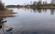 Фото рыбалки в Липки, Кировский район 2