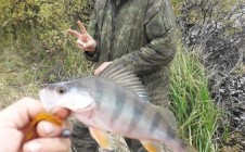 Фото рыбалки в Кузнецкий район 8