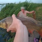 Фото рыбалки в Карась, Окунь, Плотва 4