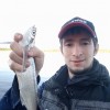 Рыбалка Чехонь
