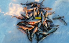 Фото рыбалки в Уразбаева 2