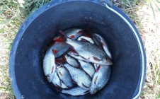 Фото рыбалки в Тамбовская область 9