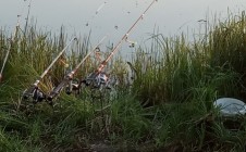 Фото рыбалки в Большое Сескино 1