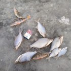 Фото рыбалки в Окунь, Судак 8