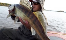 Фото рыбалки в Новые Поляны 3