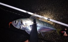 Фото рыбалки в городской округ Саки 0