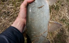Фото рыбалки в Гродно 10