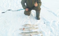 Фото рыбалки в Тайыншинский район 0