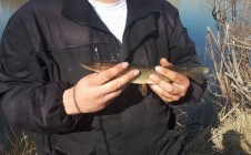 Фото рыбалки в городской округ Магнитогорск 4