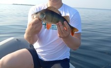 Фото рыбалки в Григорево 6