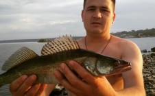 Фото рыбалки в Ульяновск 2
