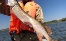 Фото рыбалки в Новострой 1