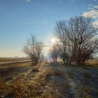 Фото рыбалки в Амур Белый, Окунь, Сазан, Сом, Судак 1