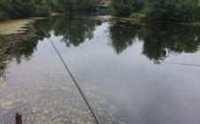 Фото рыбалки в СНТ № 4 ОАО Тагилстрой 1