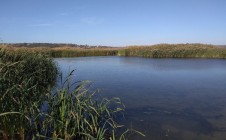 Фото рыбалки в СТ Волна, Курский район 1