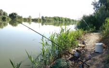Фото рыбалки в Волгодонской район 0