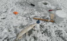 Фото рыбалки в Варзи-Пельга 1