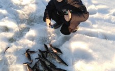 Фото рыбалки в Окатовская 6