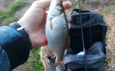 Фото рыбалки в Польша 6