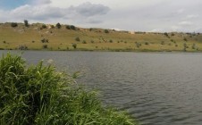 Фото рыбалки в Шпаковский район 1
