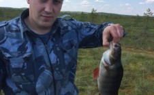 Фото рыбалки в Устюженский район 6