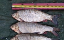 Фото рыбалки в Республика Бурятия 11