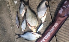 Наглая ловля рыбы браконьерами-наркоманами с моста Волжской ГЭС попала на видео