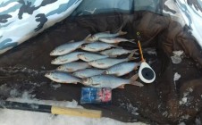Фото рыбалки в Кемерово 2