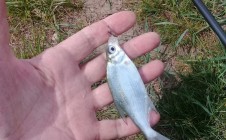 Фото рыбалки в Падинский 6