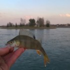 Фото рыбалки в Броницьке озеро 1