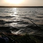 Фото рыбалки в Амур Белый, Толстолоб 2