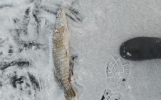 Фото рыбалки в Ивановский район 7