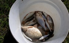 Фото рыбалки в Пензенский район 1