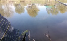 Фото рыбалки в Квитневое, Броварской район 1