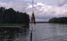 Фото рыбалки в Мазаново 0