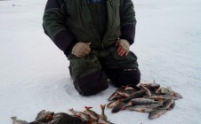 Фото рыбалки в Дубно, Волховский район 2