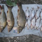 Фото рыбалки в Карась, Сазан 6
