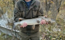Фото рыбалки в Суворовский район 5