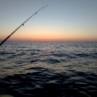 Фото рыбалки в Щука 3