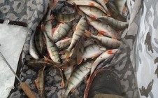 Фото рыбалки в Республика Бурятия 7