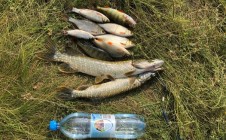Фото рыбалки в Любино-Малороссы 4