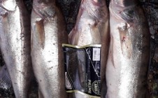 Фото рыбалки в Камбарка 3
