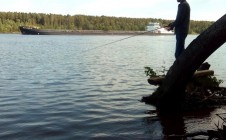 Фото рыбалки в Волосовский район 10