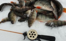Фото рыбалки в Новоатьялово 1