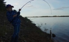 Фото рыбалки в Усово 0