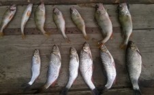 Фото рыбалки в Буранчи 0