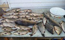 Фото рыбалки в Барабинский район 3