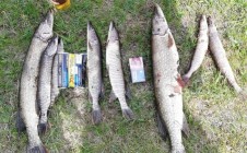 Фото рыбалки в Минусинский район 8