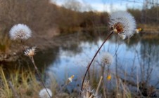 Фото рыбалки в Зеленчукский район 1