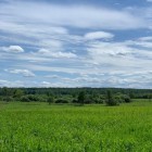 Фото рыбалки в Густера, Лещ, Плотва 5